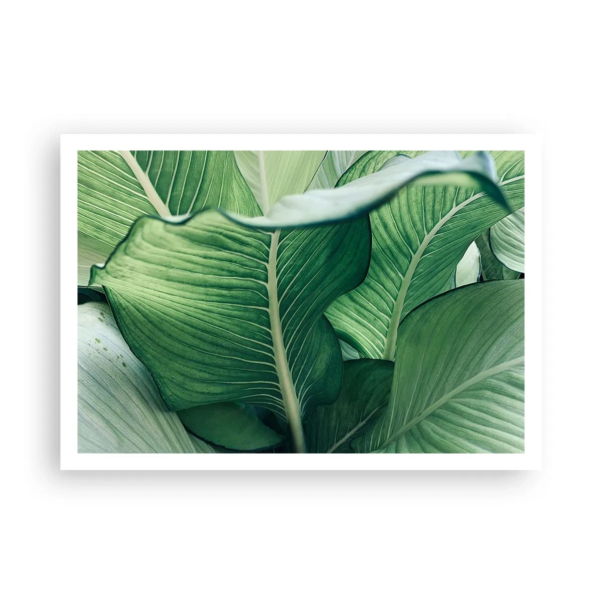 Plakát - Intenzivně zelený život - 100x70 cm