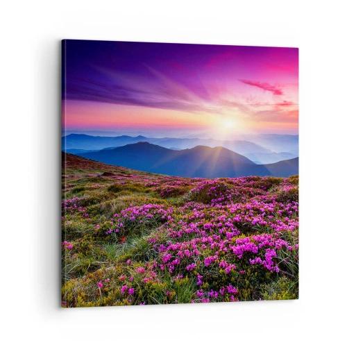 Obraz na plátně - Zavoněly svěží pupeny bylinek z obilných polí - 60x60 cm