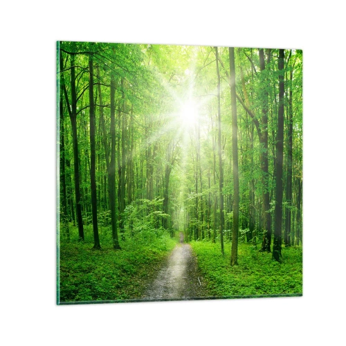 Obraz na skle - Zelená katedrála - 50x50 cm