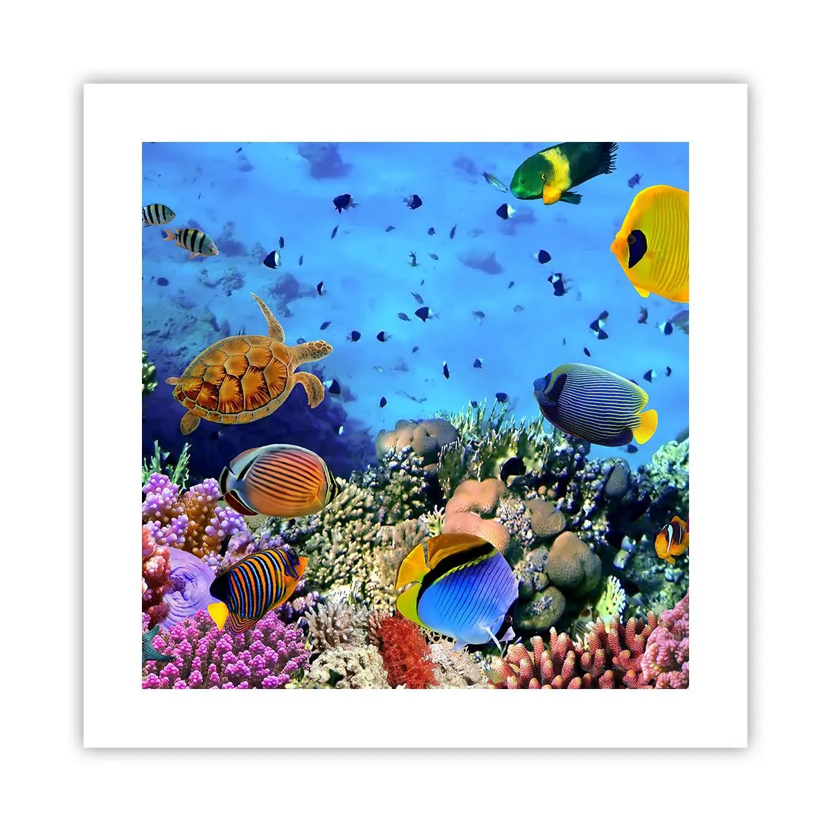 Plakát - Co víme o životě… - 40x40 cm