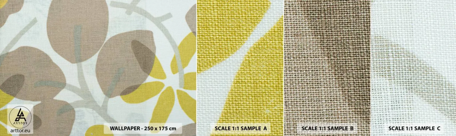 Fototapeta Vzorek Standard Eco - Kompozice v plném slunci - Boho, Květiny, Minimalismus - 100x30 cm