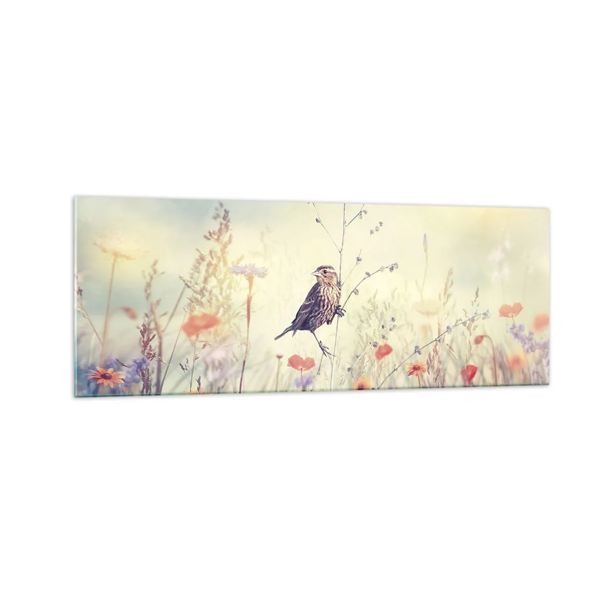 Obraz na skle - Portrét ptáka s loukou v pozadí - 140x50 cm