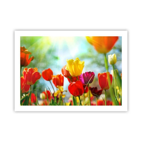 Plakát - Všechny barvy slunce - 70x50 cm