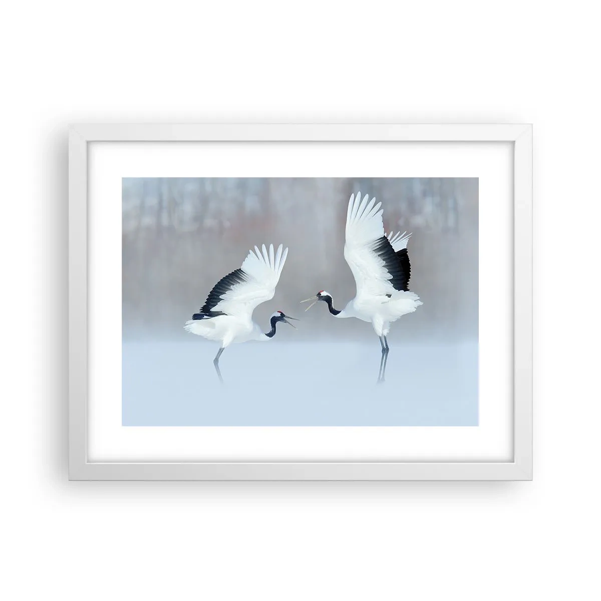 Plakát v bílém rámu - Tanec v mlze - 40x30 cm