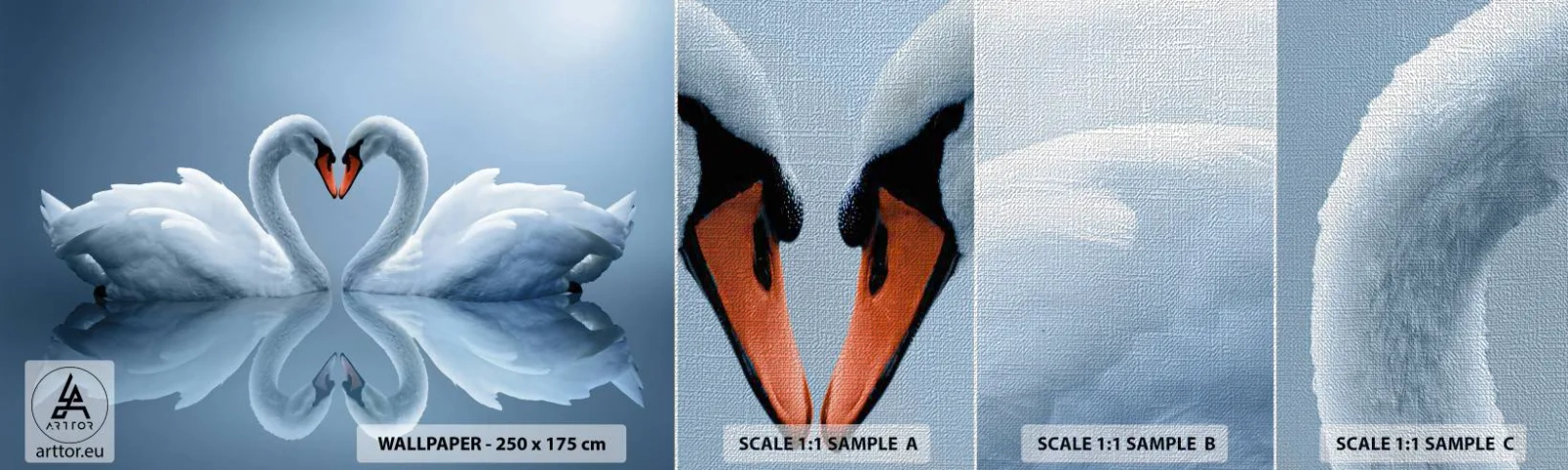 Vzor Fototapety Premium Canvas - Čas na lásku - labutě, Milovat, Srdce - 100x30 cm