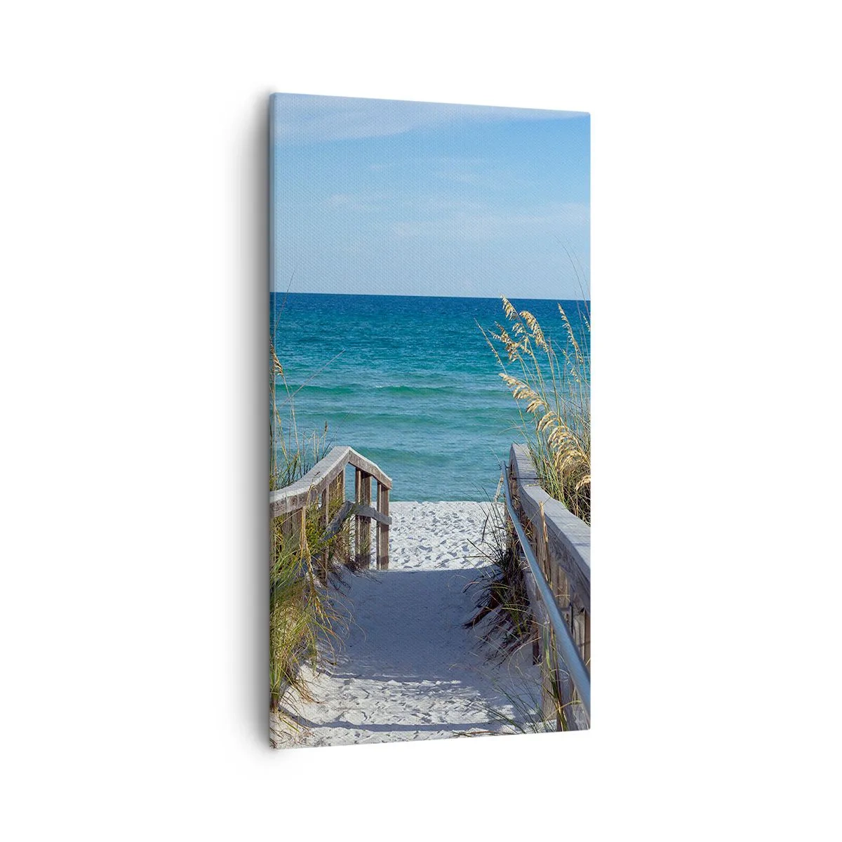 Obraz na plátně - Na slunci, ve větru - 55x100 cm