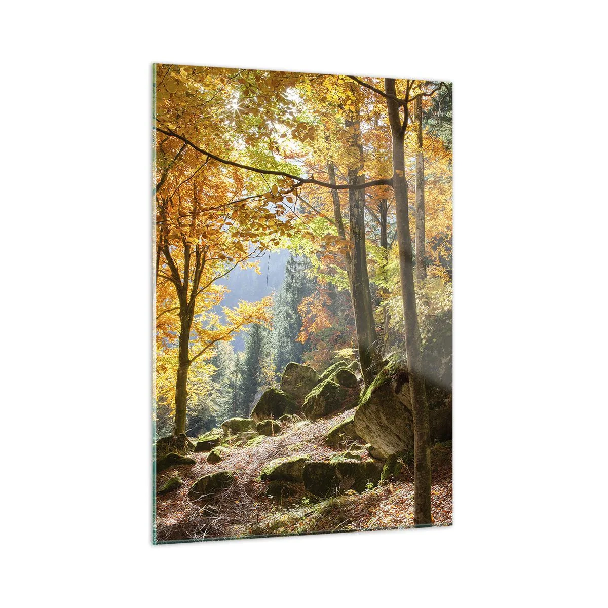 Obraz na skle - Čas na odpočinek - 50x70 cm