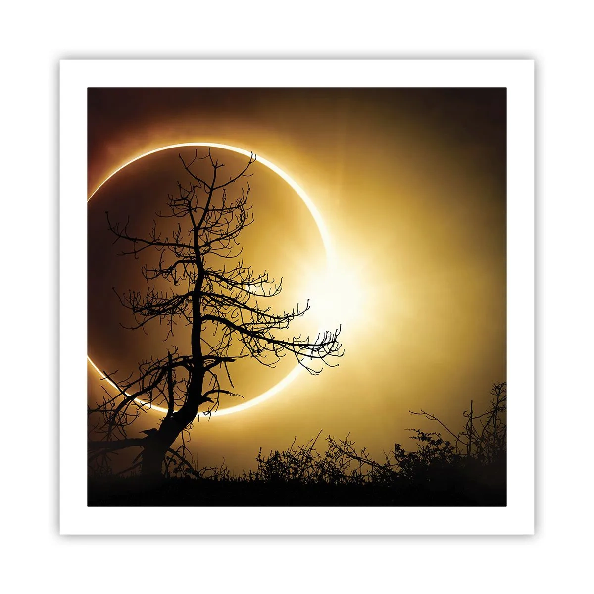 Plakát - Úplné zatmění - 60x60 cm