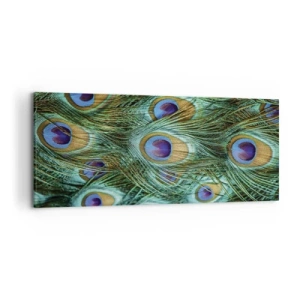 Obraz na plátně - Paví pohled - 120x50 cm