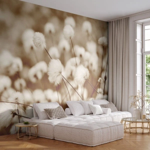 Fototapeta Samolepicí Deluxe Sticker - Chlupatý lán - Bavlněný květ, Květ, Bavlněná větvička - 100x70 cm