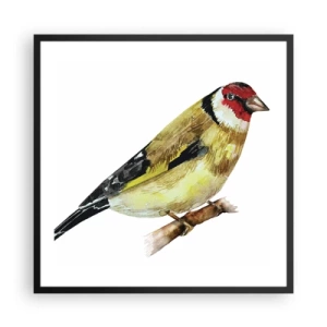 Plakát v černém rámu - Ptáčí portrét - 60x60 cm