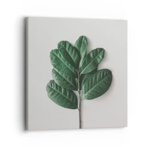 Obraz na plátně - Kresba samotné přírody - 40x40 cm