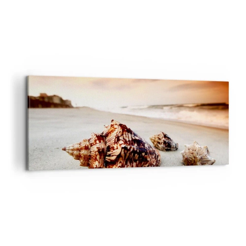 Obraz na plátně - Vyvrženci vln - 100x40 cm
