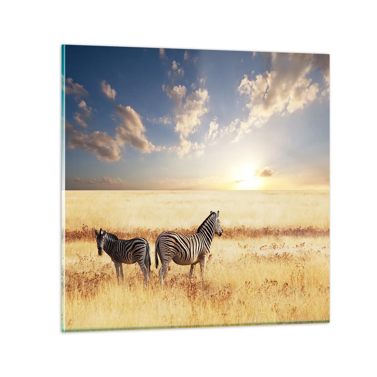 Obraz na skle - Jdi odsud, neruš klid - 40x40 cm