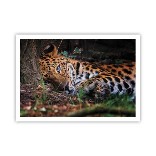 Plakát - Věř mi - 100x70 cm