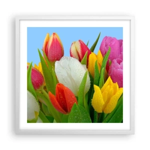 Plakát v bílém rámu - Květinová duha v kapkách rosy - 50x50 cm