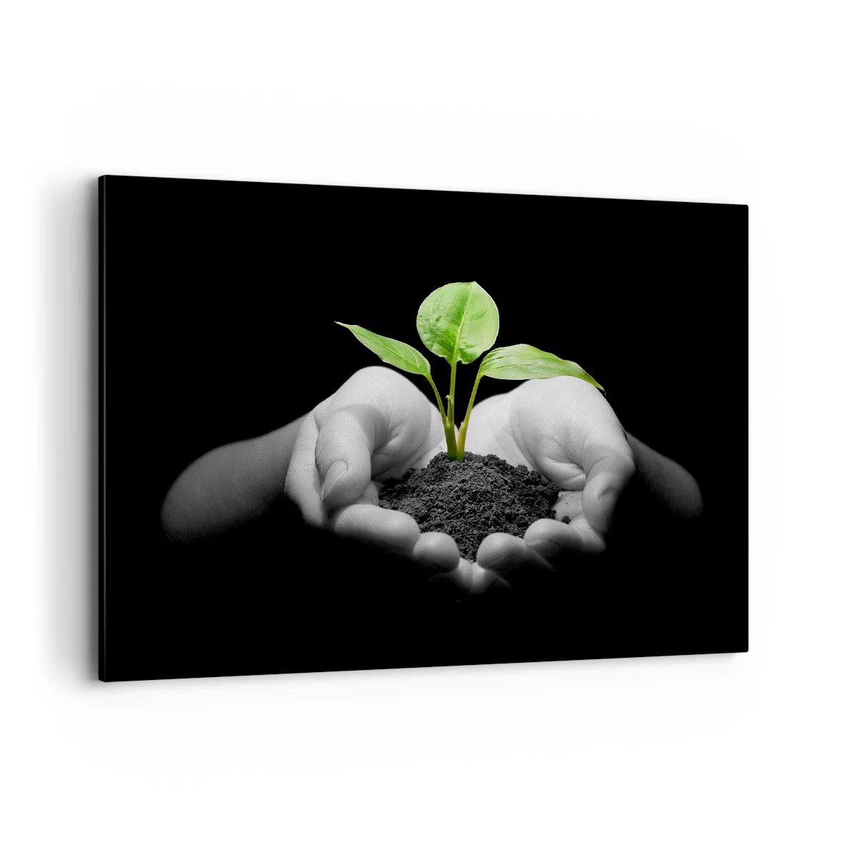 Obraz na plátně - Miluji přírodu, chráním ji - 100x70 cm