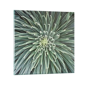 Obraz na skle - Zrození hvězdy - 40x40 cm