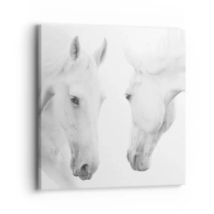 Obraz na plátně - Je to přátelství…? - 40x40 cm