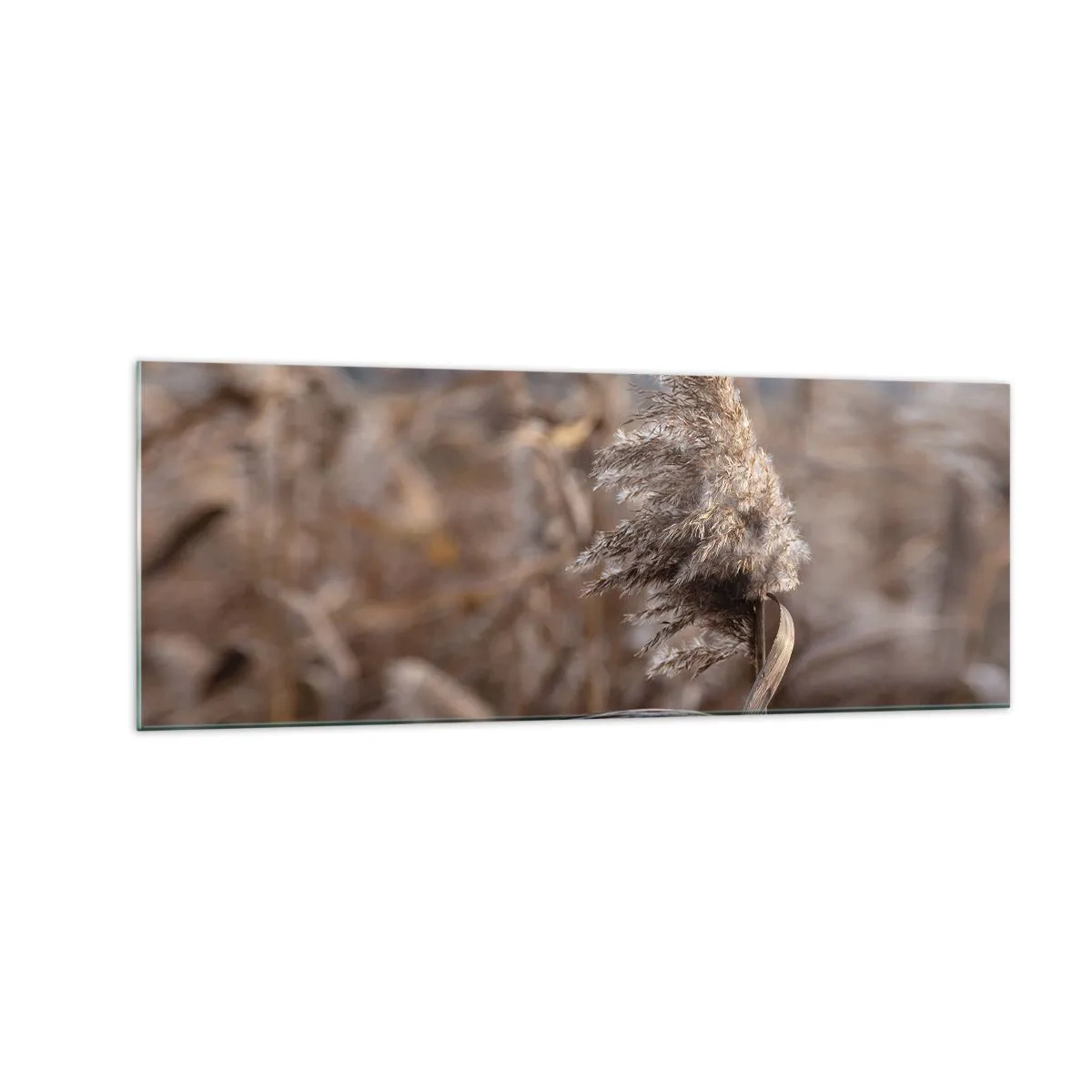 Obraz na skle - Čas odletět s větrem - 140x50 cm