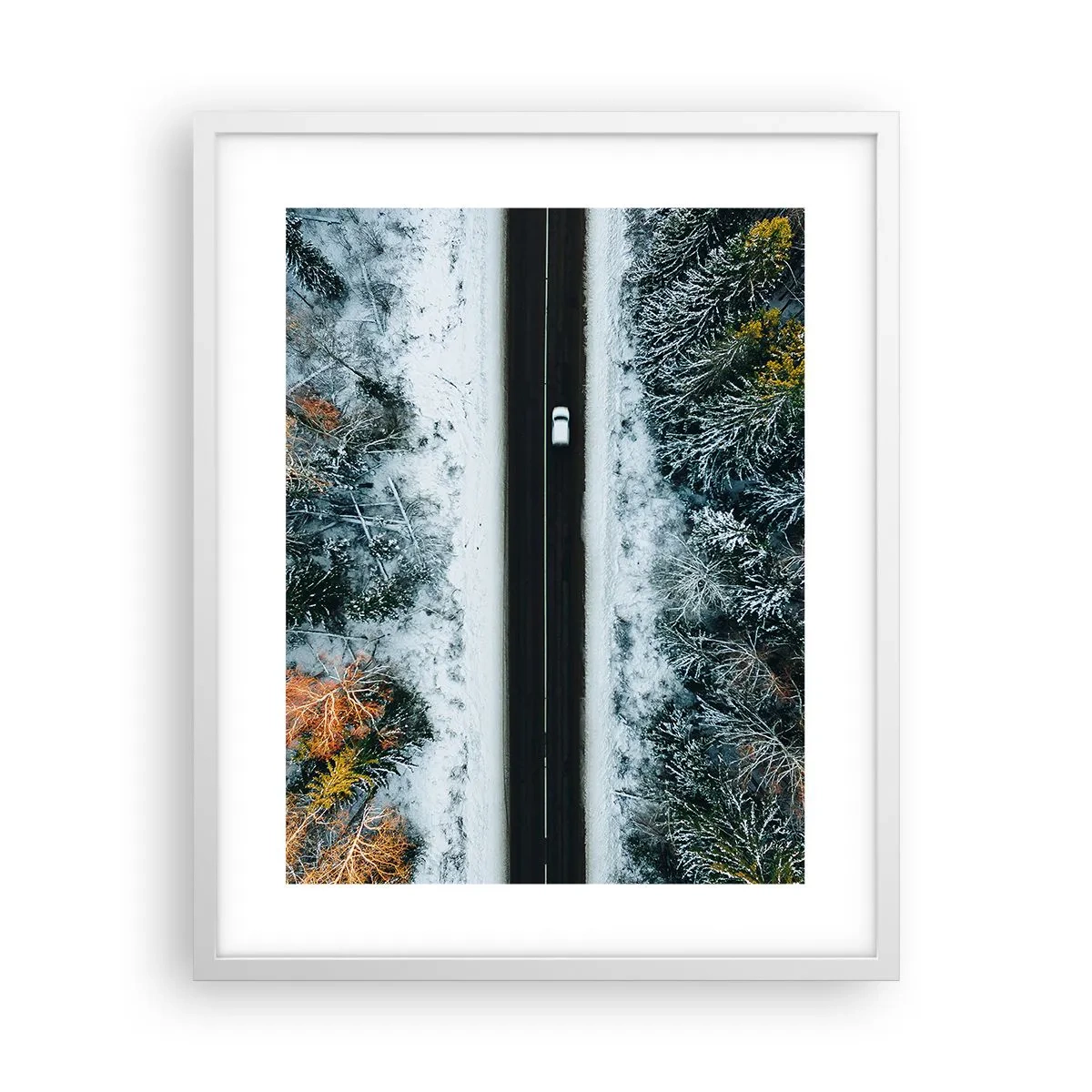 Plakát v bílém rámu - Přes zimní les - 40x50 cm