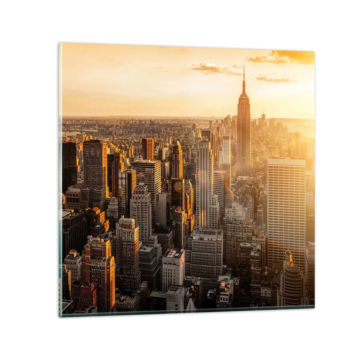 Obraz na skle - Růst na slunci - 60x60 cm