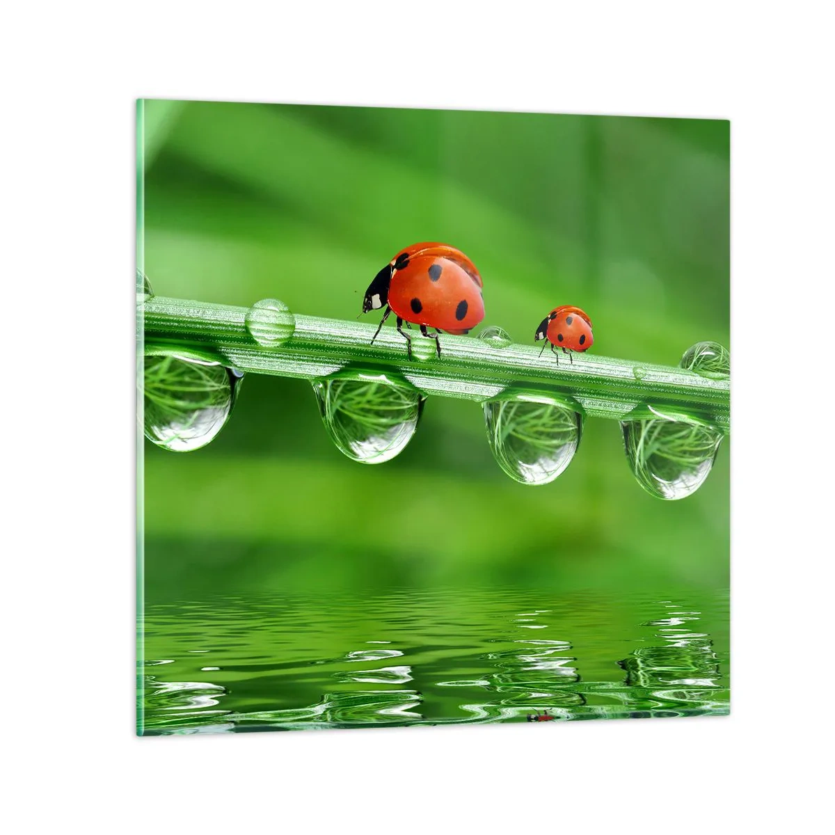 Obraz na skle - Na cestách celé léto - 70x70 cm