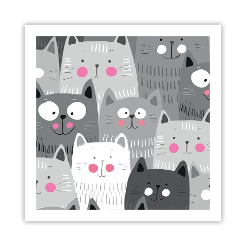 Plakát - Kočičí svět - 60x60 cm