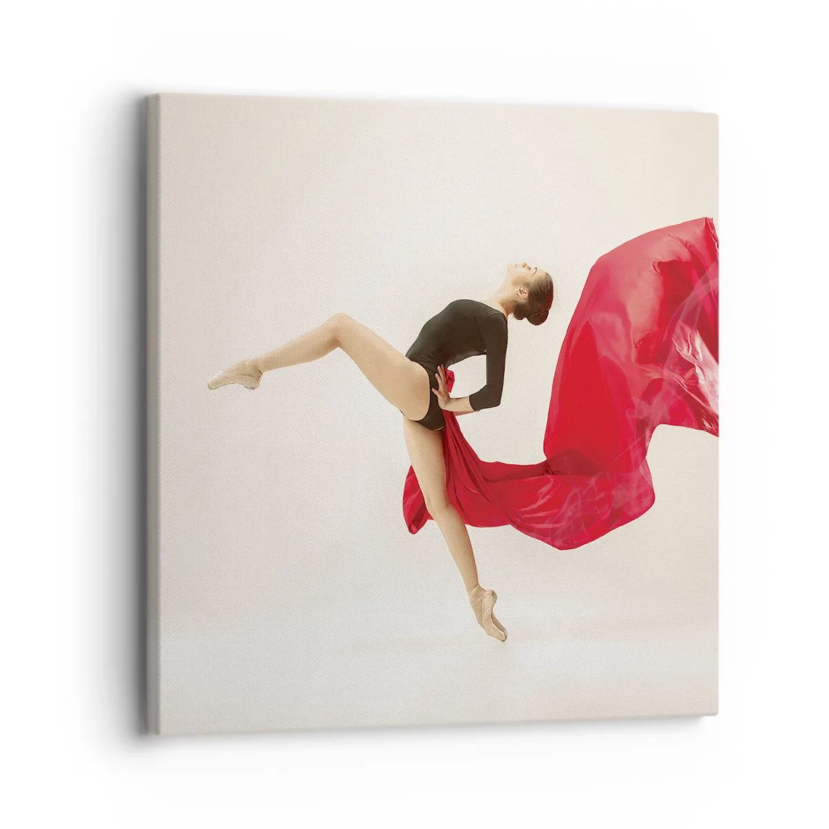 Obraz na plátně - Červené a černé - 30x30 cm