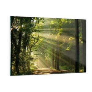 Obraz na skle - Lesní okamžik - 120x80 cm