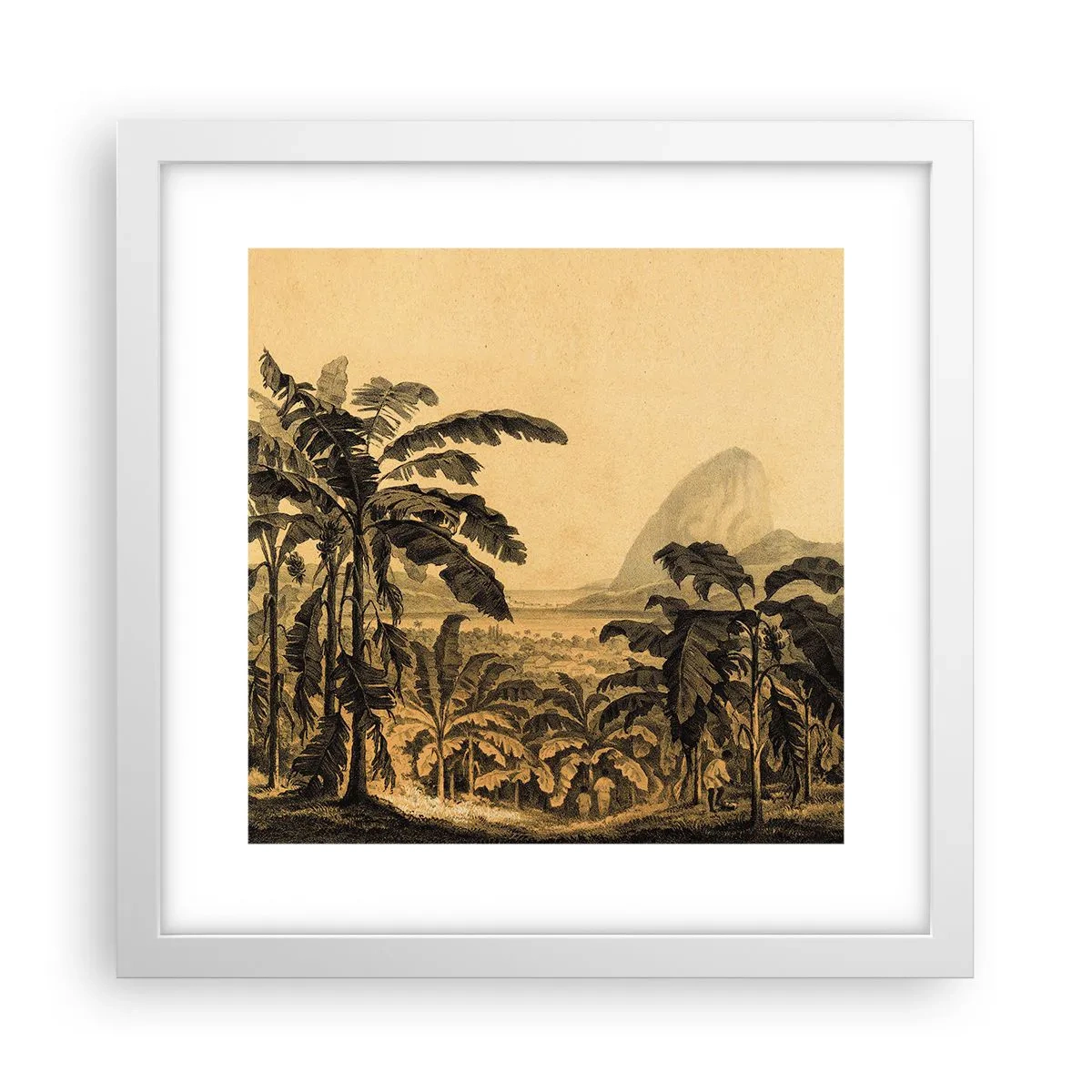 Plakát v bílém rámu - V koloniálním stylu - 30x30 cm