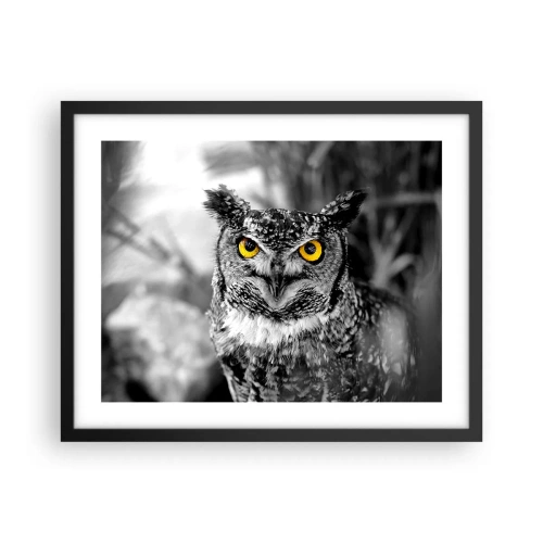 Plakát v černém rámu - Nic se neschová - 50x40 cm