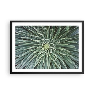 Plakát v černém rámu - Zrození hvězdy - 70x50 cm
