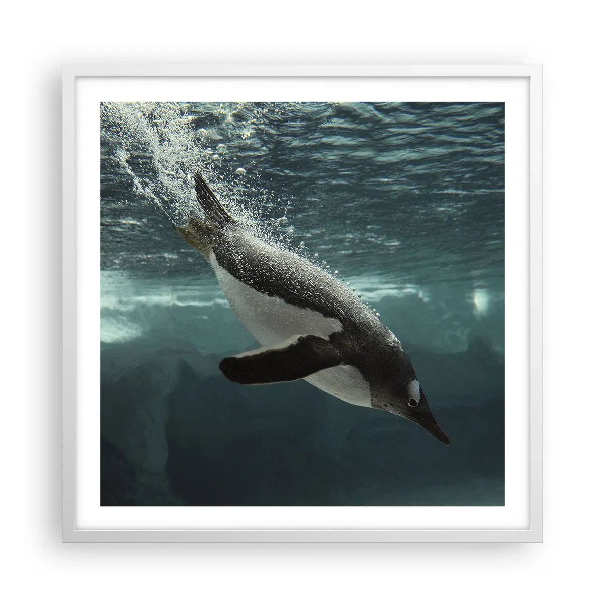 Plakát v bílém rámu - Vítejte v mém světě - 60x60 cm