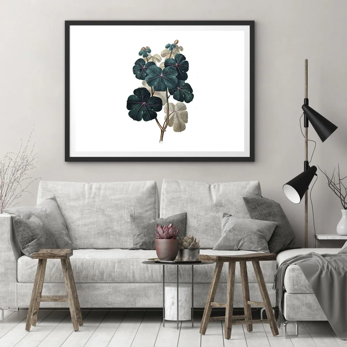 Plakát v černém rámu - Ze starého herbáře - 70x50 cm