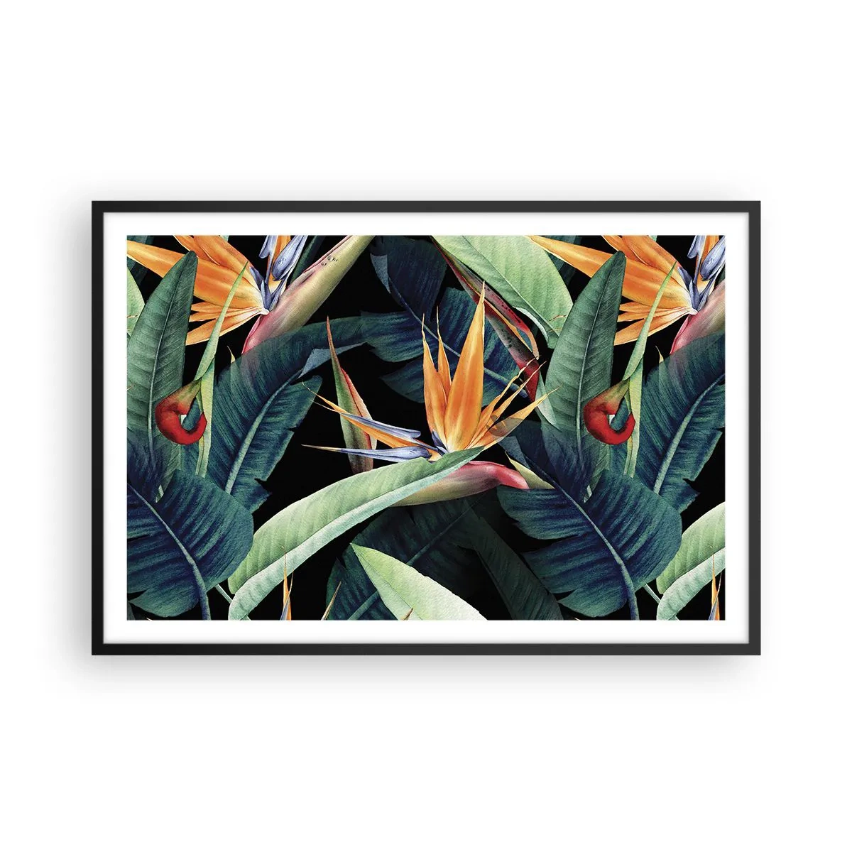 Plakát v černém rámu - Plamenné květy tropů - 91x61 cm