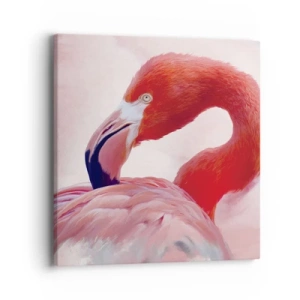 Obraz na plátně - Ptačí krása - 40x40 cm