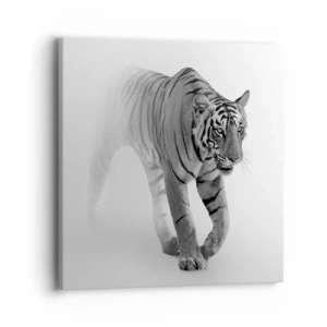 Obraz na plátně - Přikrčený v mlze - 40x40 cm