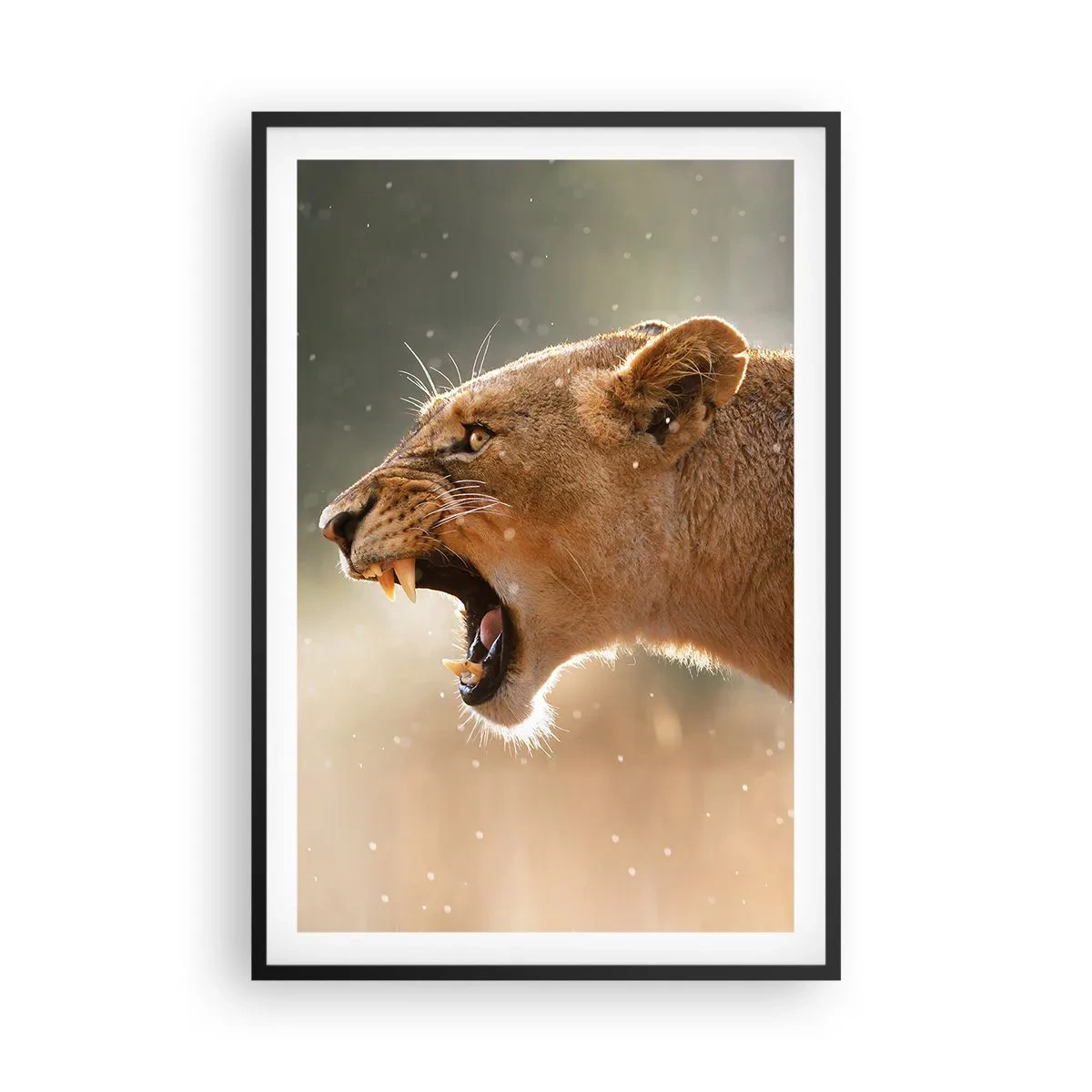 Plakát v černém rámu - Snaž se neposlouchat - 61x91 cm