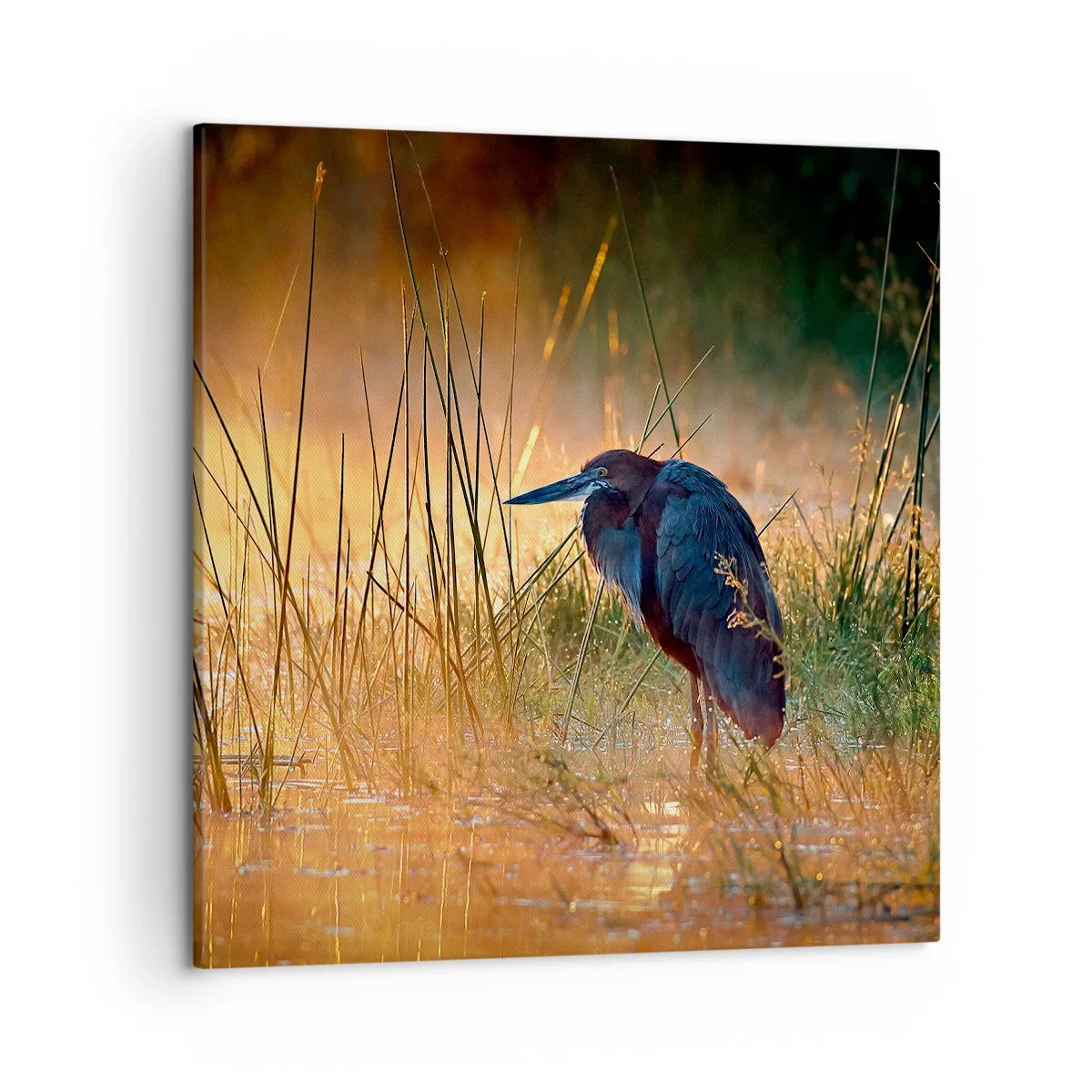 Obraz na plátně - Ušetřete mě těch fotek - 50x50 cm