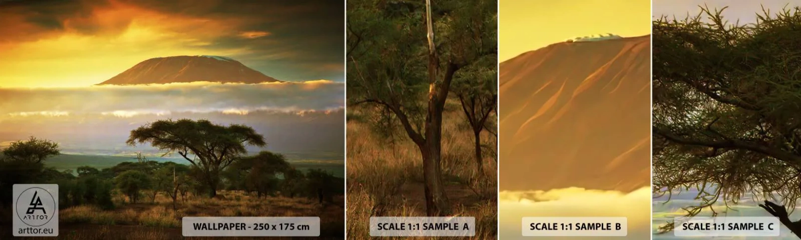 Vzor Fototapety Samolepicí Deluxe Sticker - Sen cestovatele - Krajina, Mount Kilimanjaro, Afrika - 100x30 cm