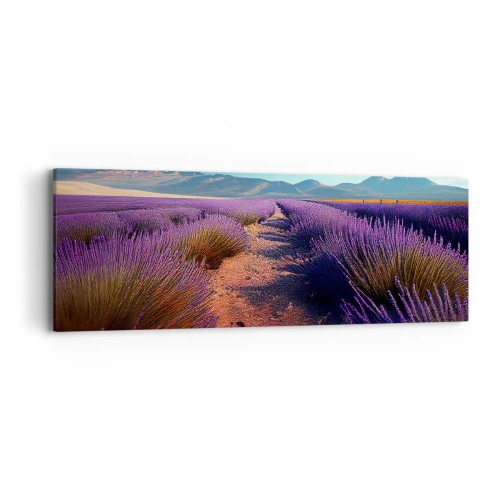 Obraz na plátně - Voňavá pole - 90x30 cm