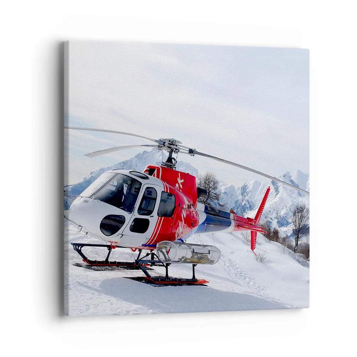 Obraz na plátně - Vždy připraven - 40x40 cm