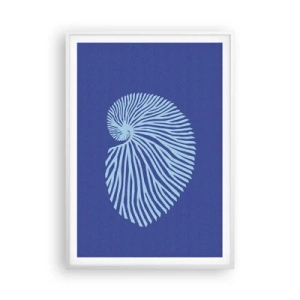 Plakát v bílém rámu - Zrození mušle - 70x100 cm