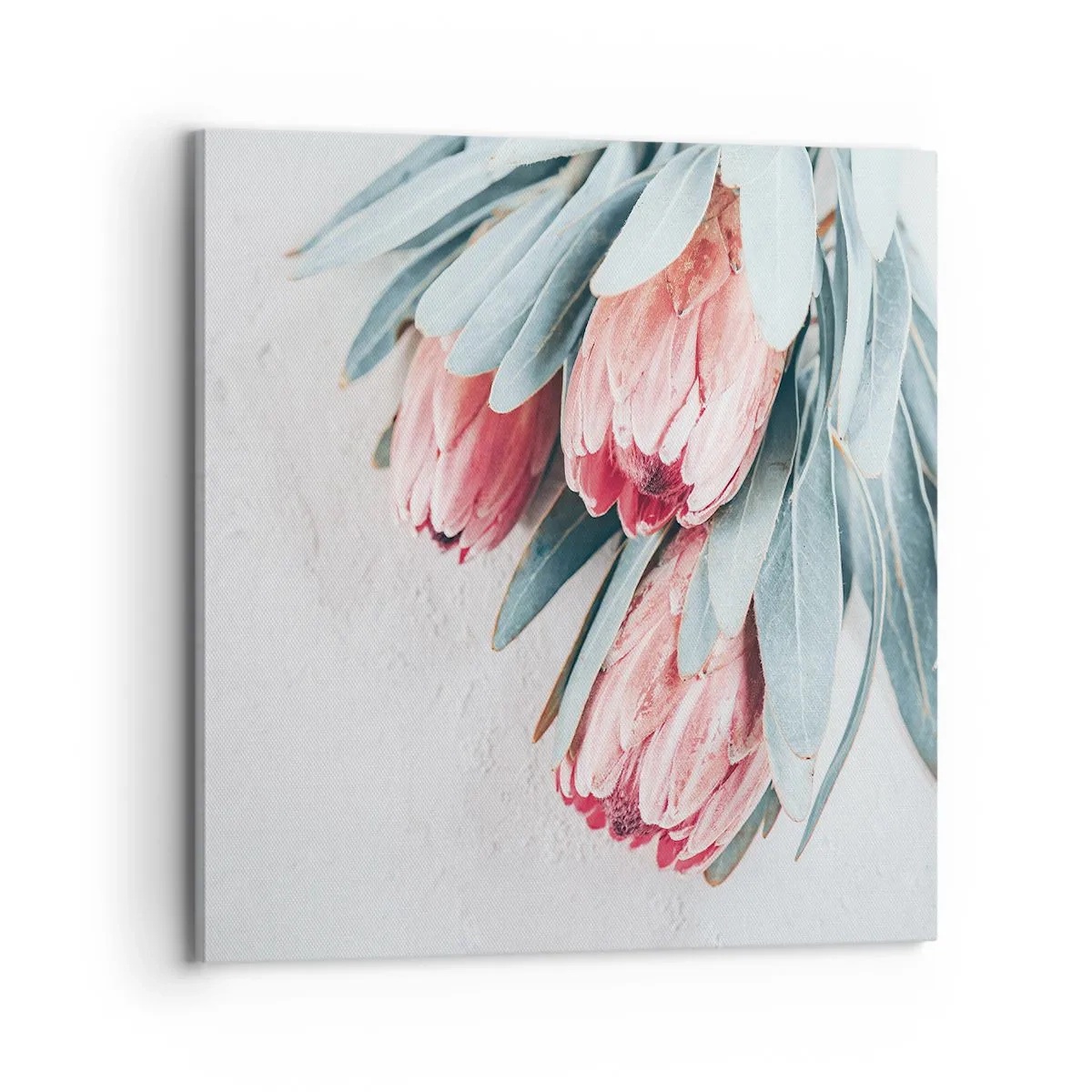 Obraz na plátně - Zahanbené svou vlastní krásou - 70x70 cm