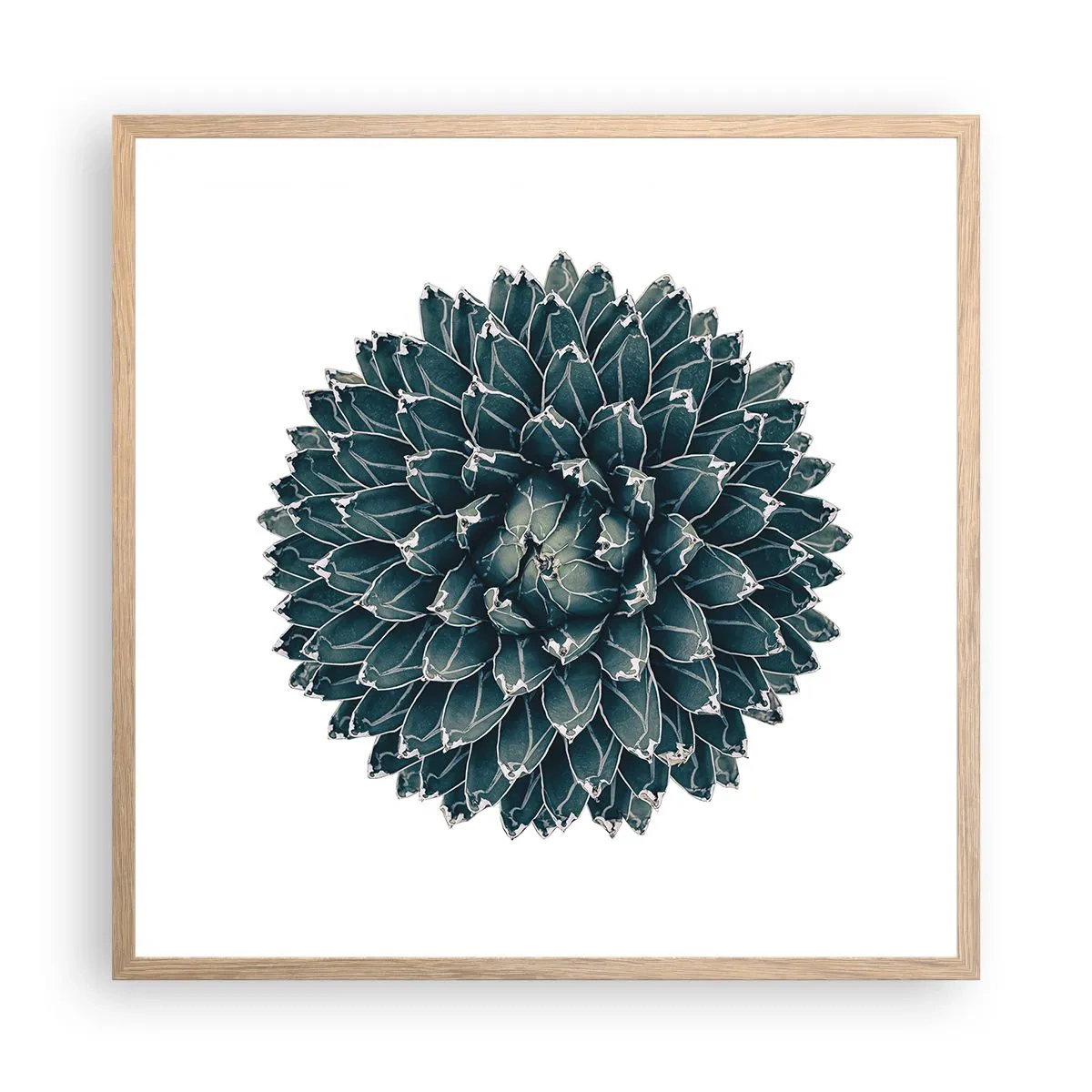 Plakát v rámu světlý dub - Hvězda pouště - 60x60 cm