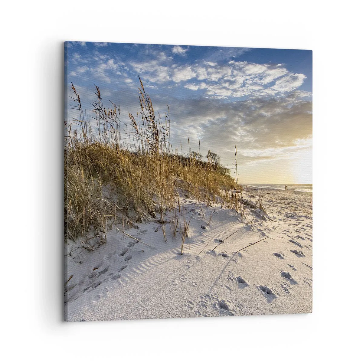 Obraz na plátně - Pozvánka na procházku - 50x50 cm