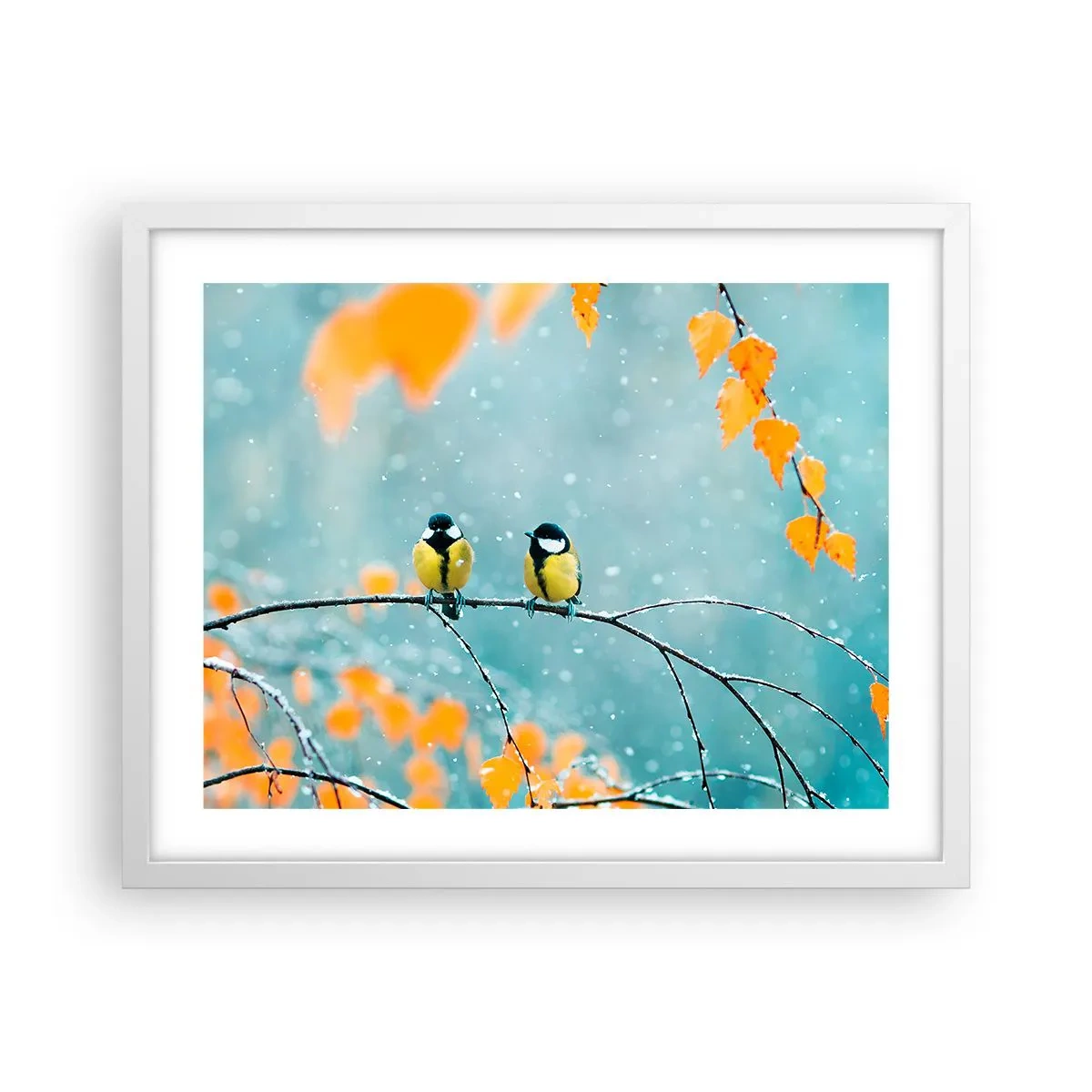 Plakát v bílém rámu - Ptačí drby - 50x40 cm