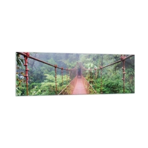 Obraz na skle - Zavěšený nad korunami - 160x50 cm