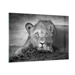 Obraz na skle - Královské štěně - 100x70 cm